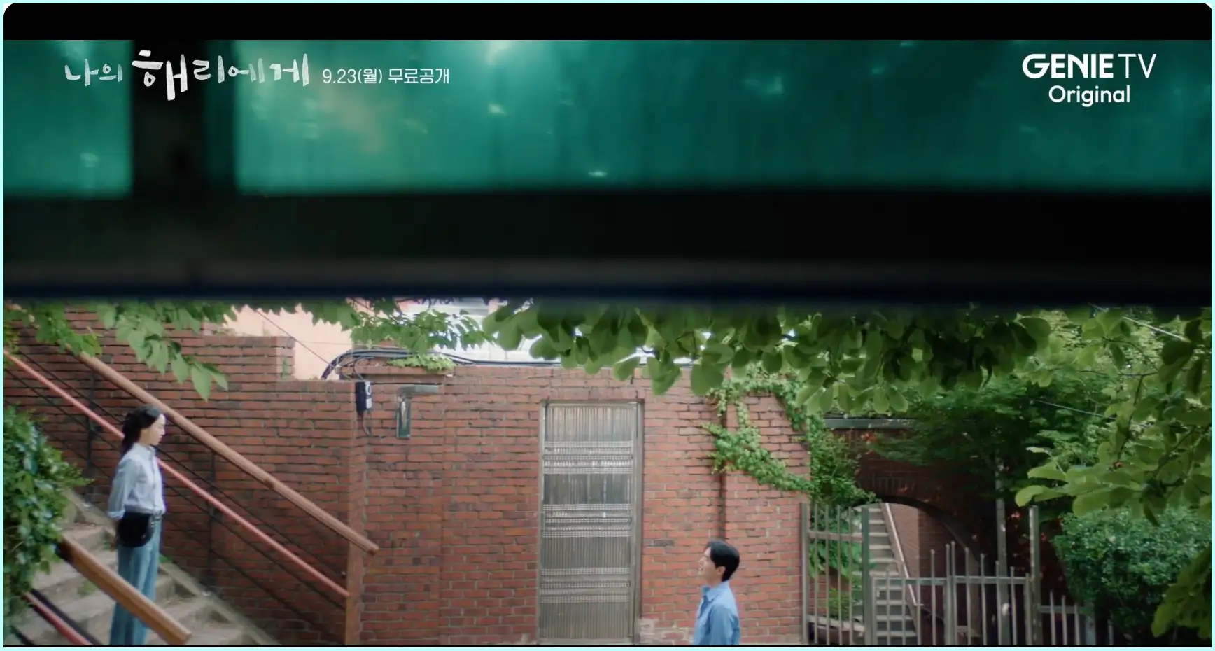 나의 해리에게 등장인물 인물관계도 줄거리 ott