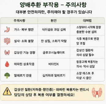 양배추환-효능-추천-유기농-효과-부작용-먹는법