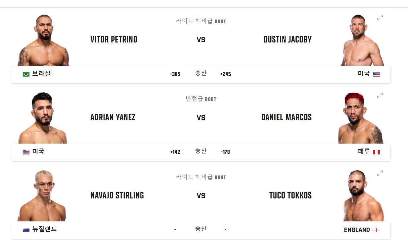 ufc경기일정