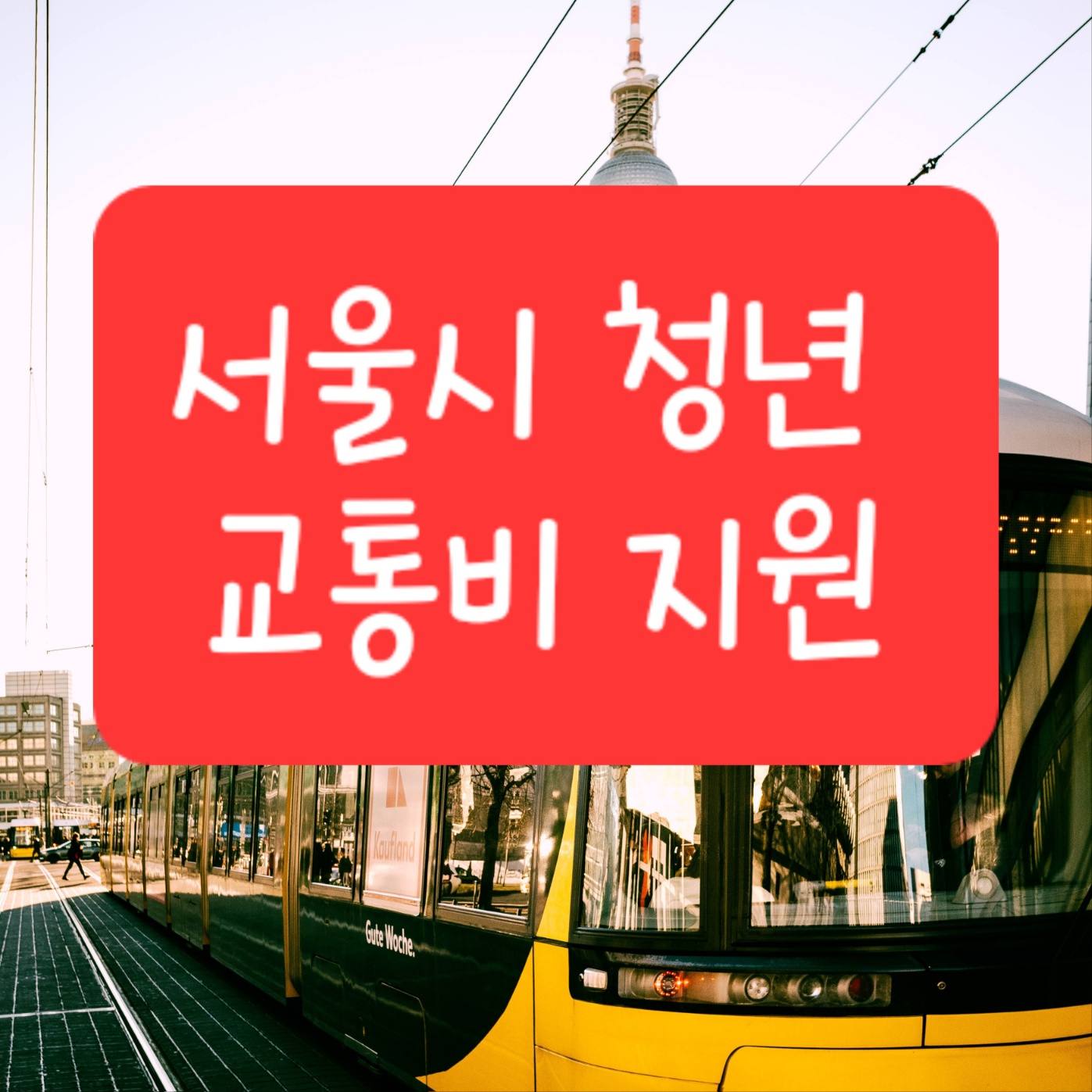 서울시 청년 교통비 지원