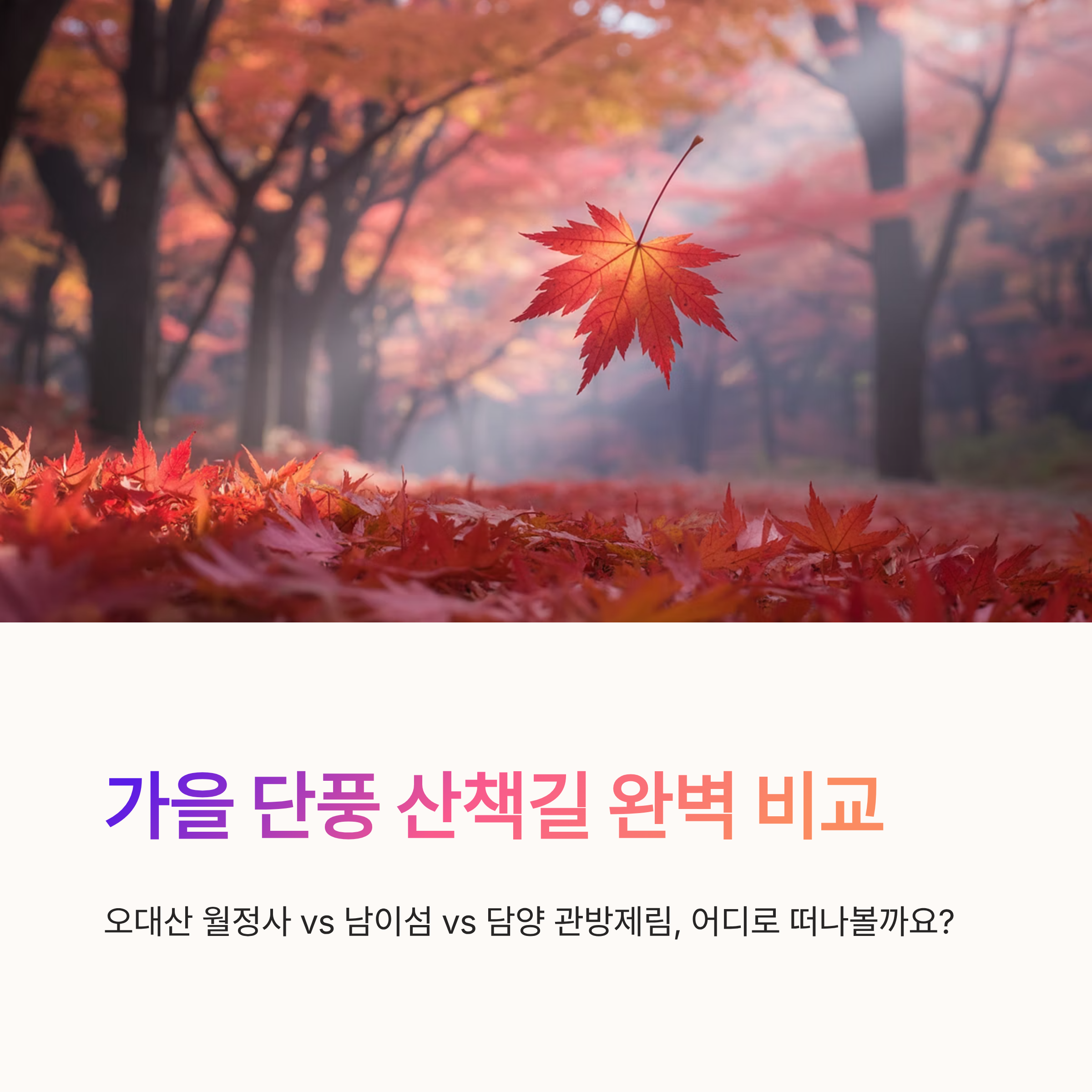 가을 단풍 산책길 완벽 비교: 오대산 월정사 vs 남이섬 vs 담양 관방제림