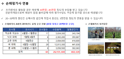 손해평가사 연봉