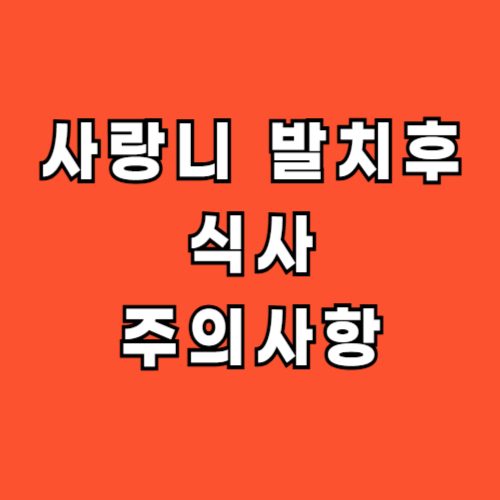 사랑니-발치후-식사-주의사항-식단