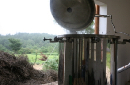 하늬팜 라벤더축제 개화상황