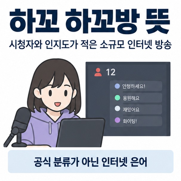 하꼬 하꼬방 뜻이라는 제목과 소규모 인터넷 방송 화면, 적은 시청자 수, 작은 방송 채널을 함께 표현한 대표 이미지