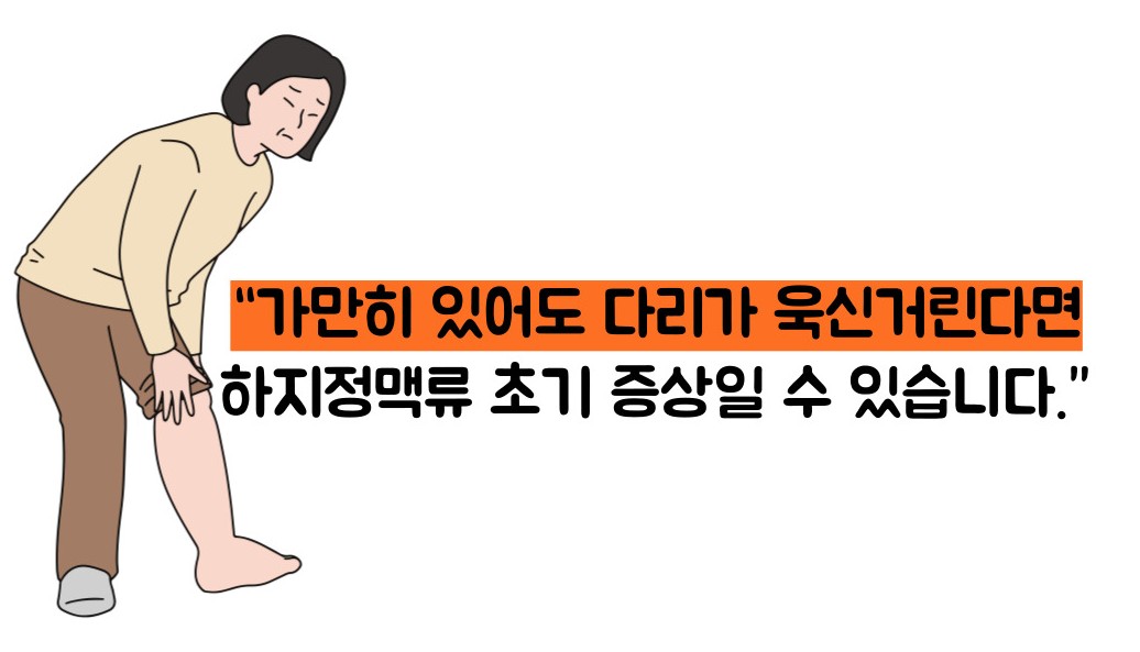 하지 정맥류 증상