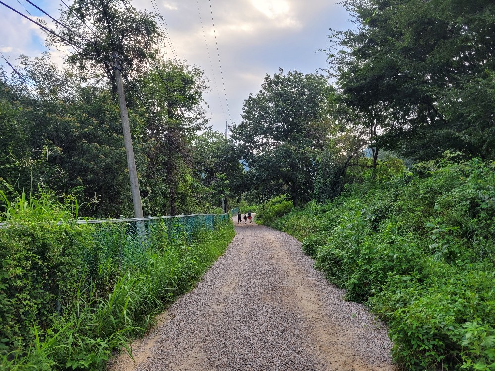 도마치계곡 가는 방법