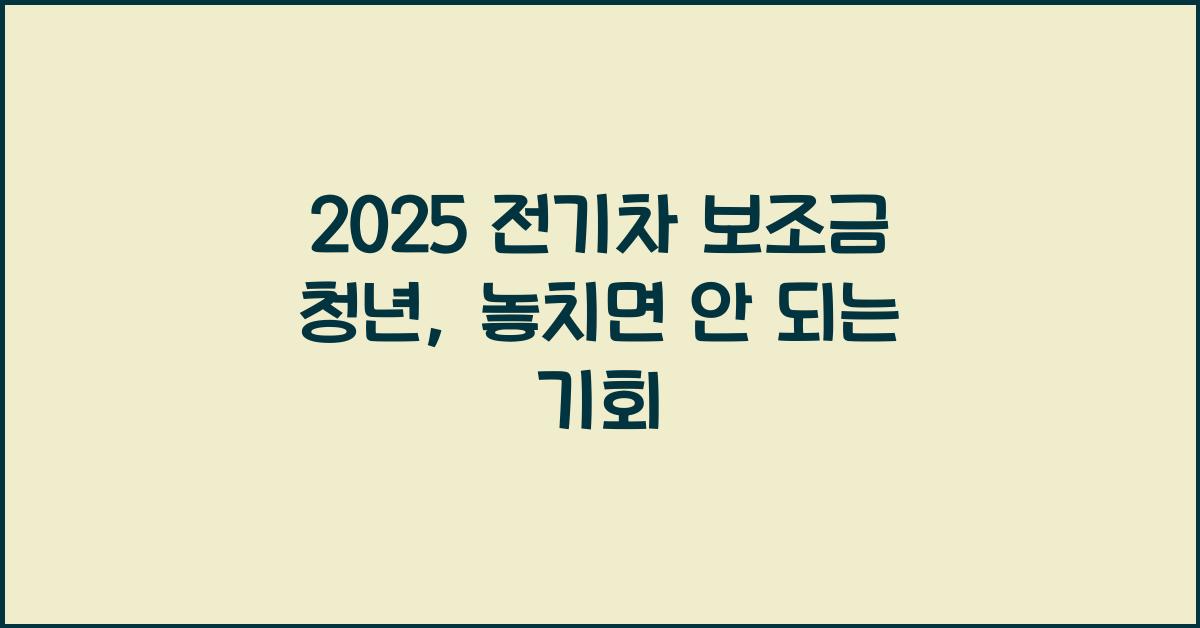 2025 전기차 보조금 청년