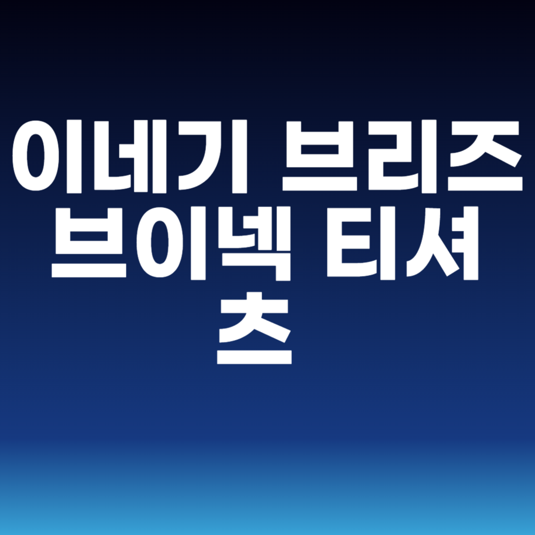 이네기 브리즈 브이넥 티셔츠