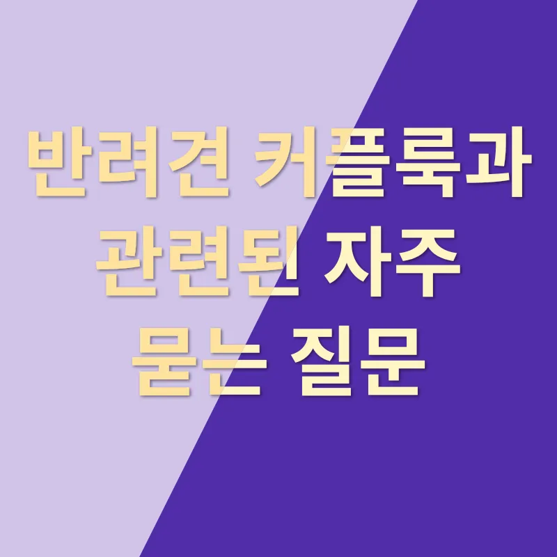 베쿠 반려견 커플룩_4