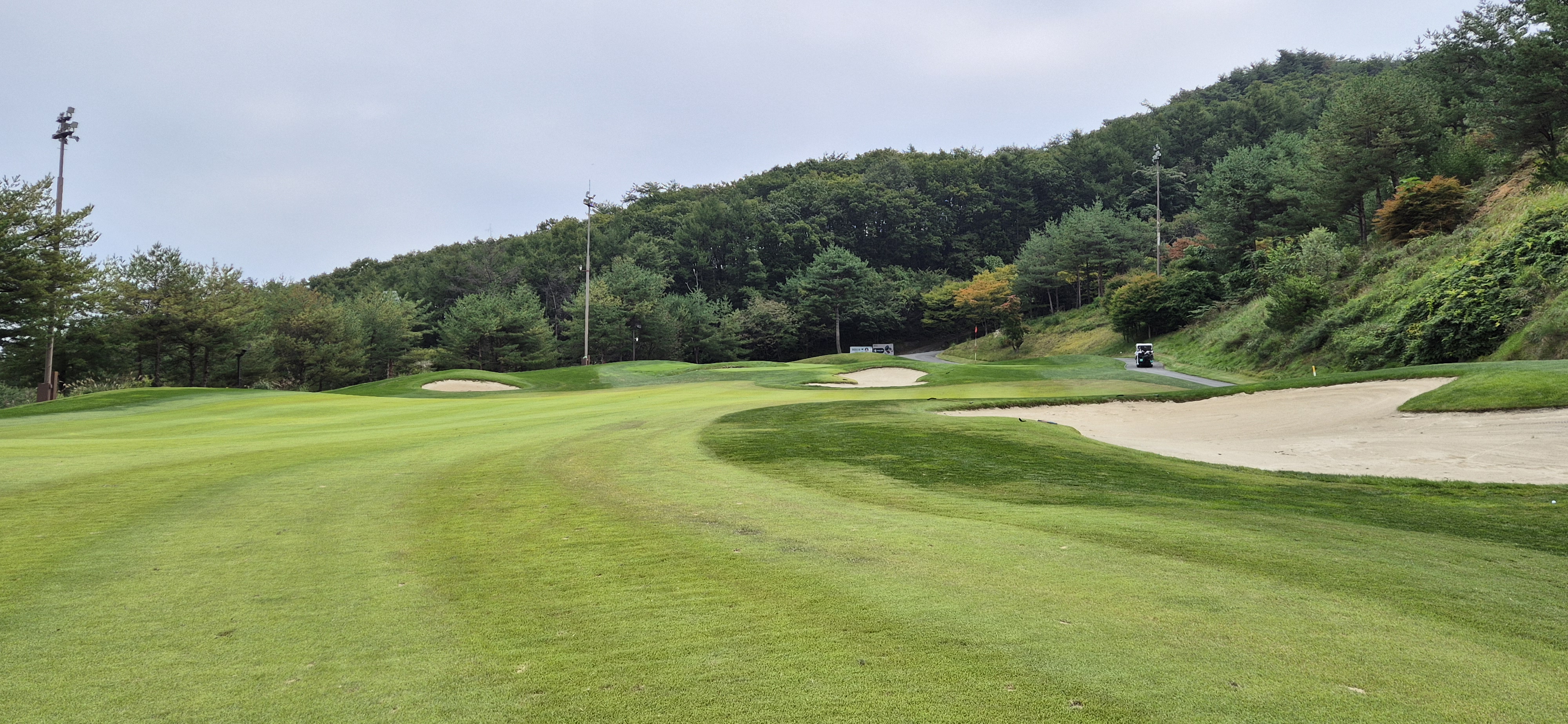 소노펠리체cc이스트