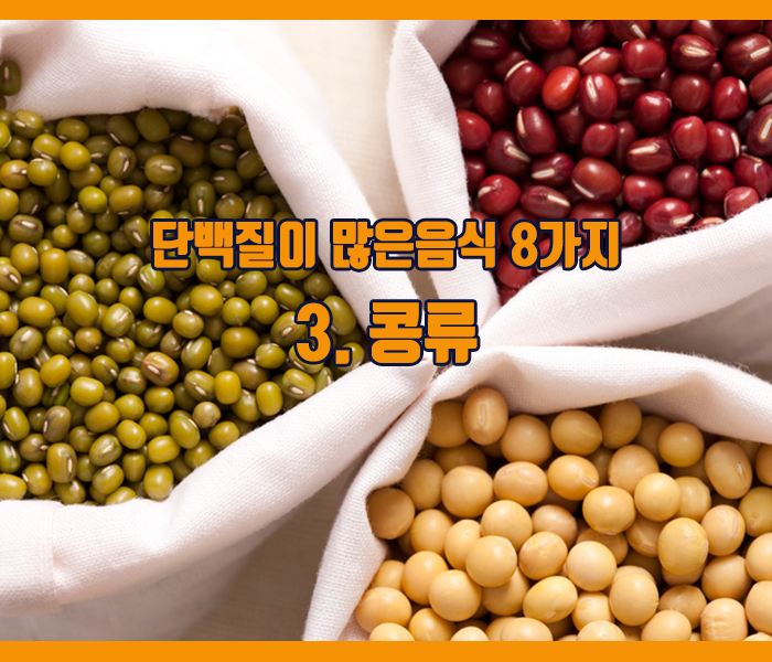 단백질이 많은음식 콩류