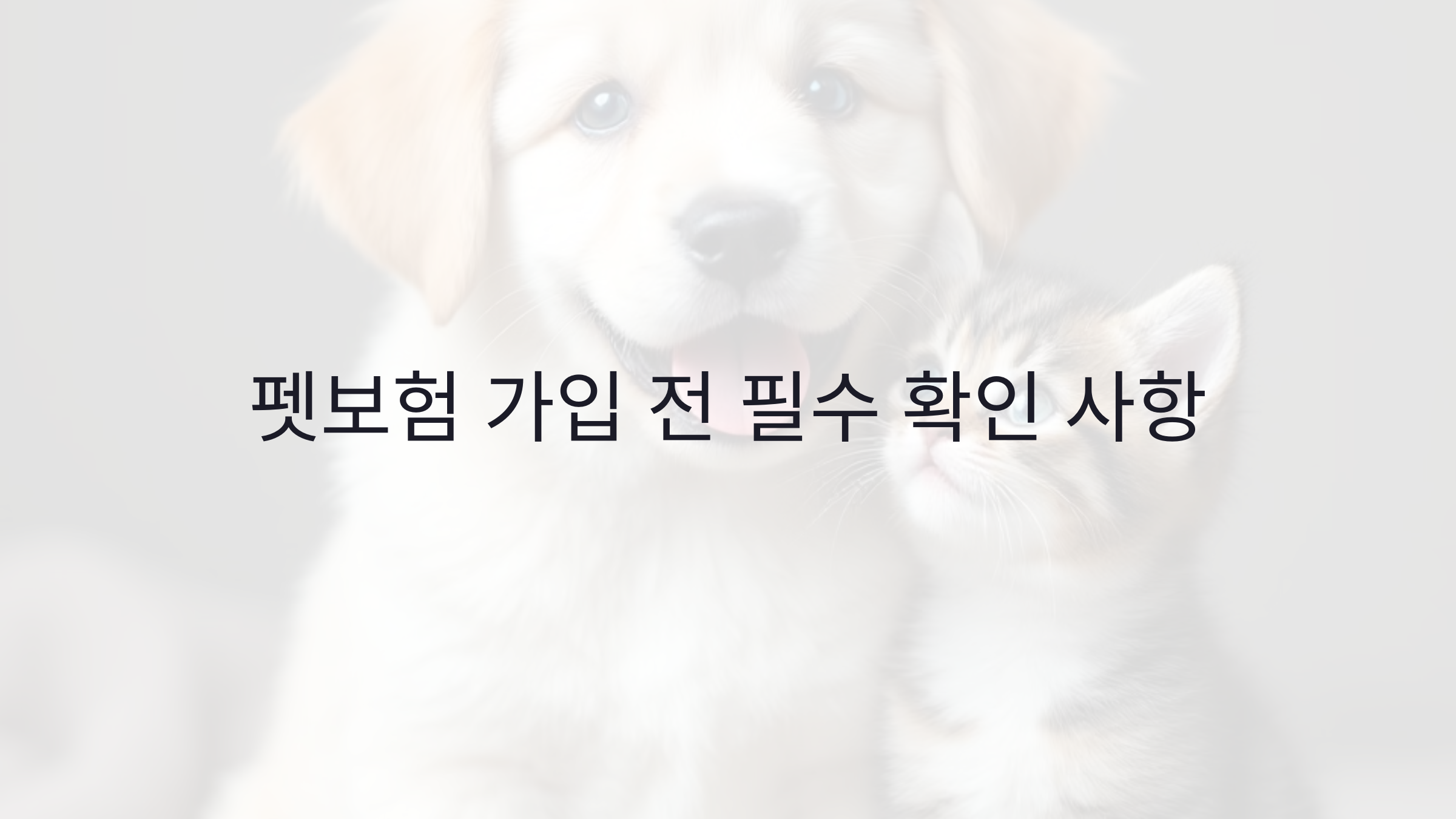 강아지&middot;고양이 보험 비교 펫보험 가입 전에 꼭 알아야 할 것