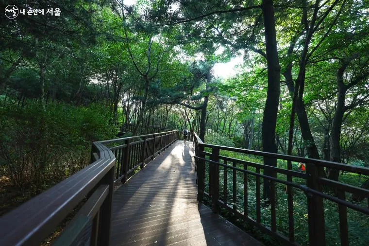 걷기좋은 숲길 50 서울 전남 경북_8