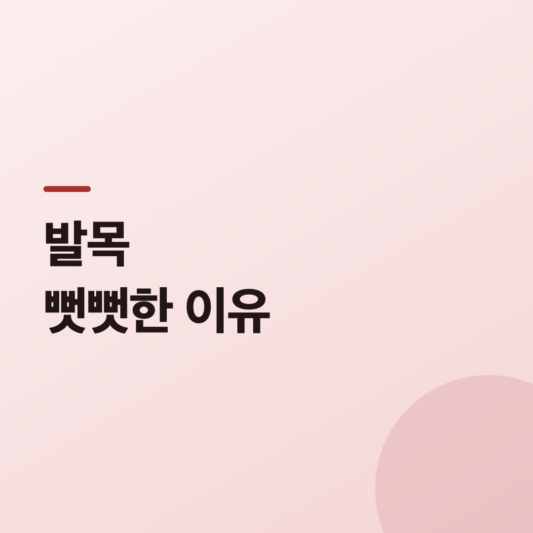 순서대로 따라하기 카드
