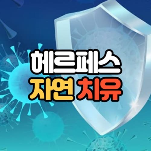 헤르페스 2형 자연치유