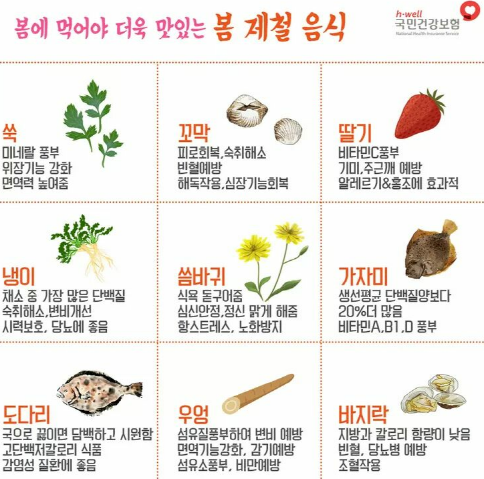 봄에 식욕이 변하는 이유와 원인, 관리법 알기