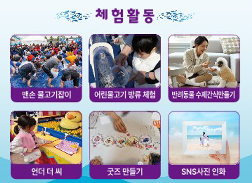 체험활동