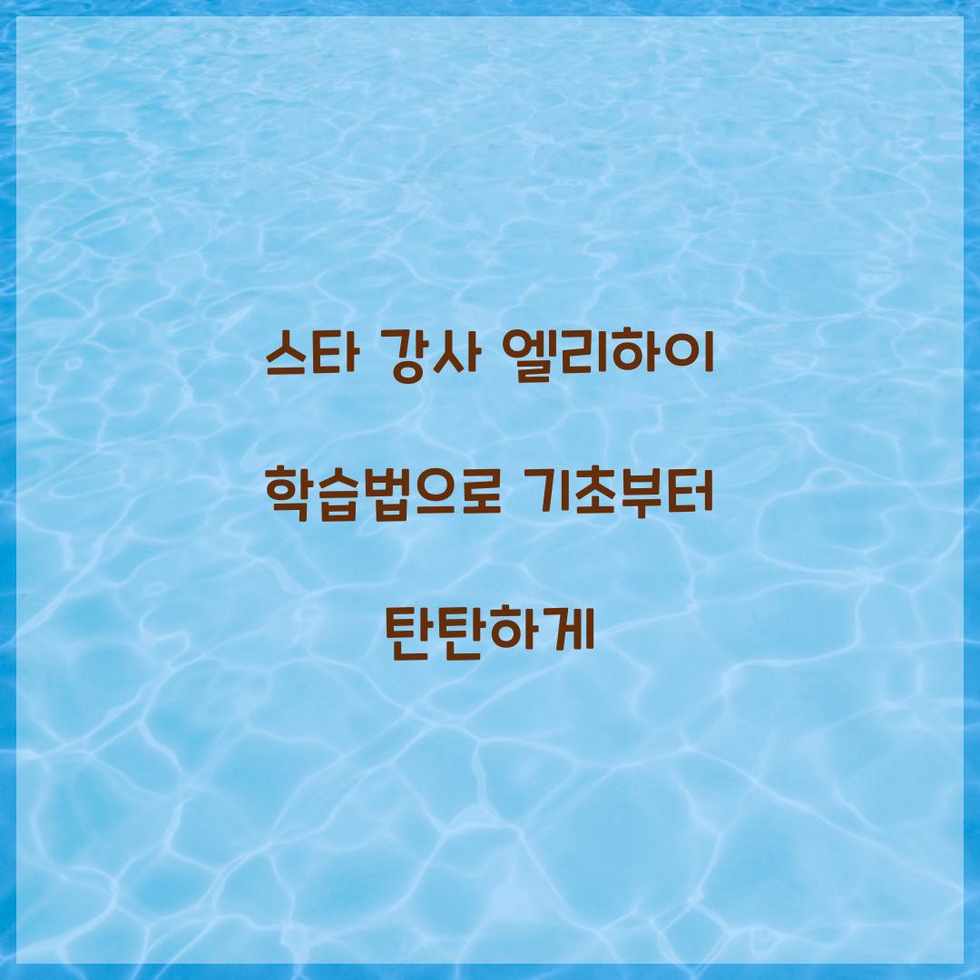 스타 강사 엘리하이 학습법