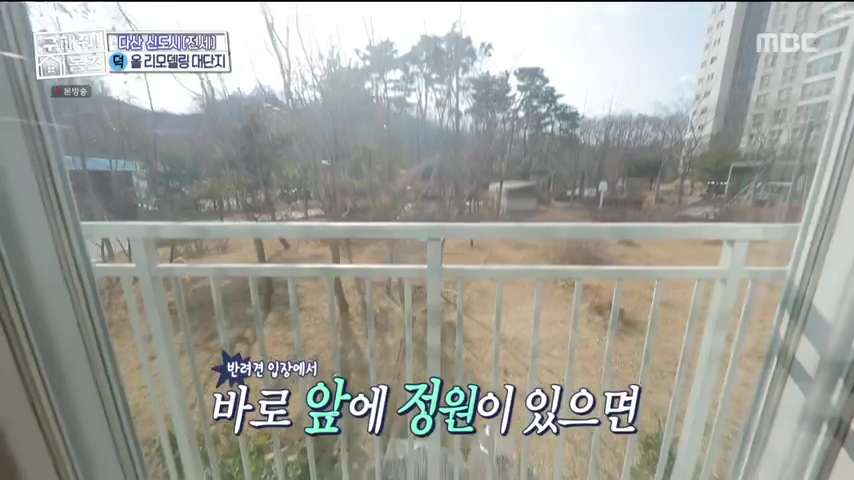 구해줘홈즈 1층집 바이브 동물병원 인접 남양주 다산동 전세 매매 매물 가격 및 구조 인테리어 리모델링 최종선택 강재준 양세찬 소개
