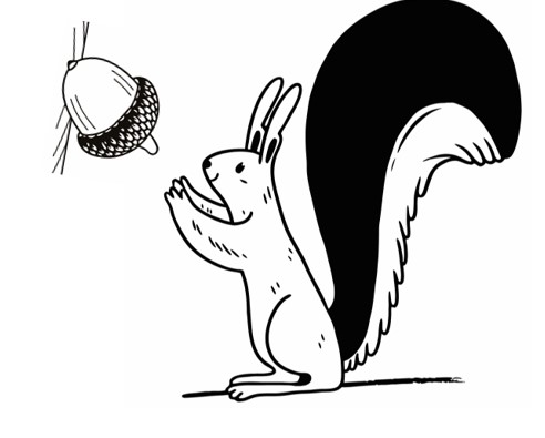 간식먹으려는 귀큰 다람쥐