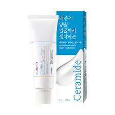 세라마이드