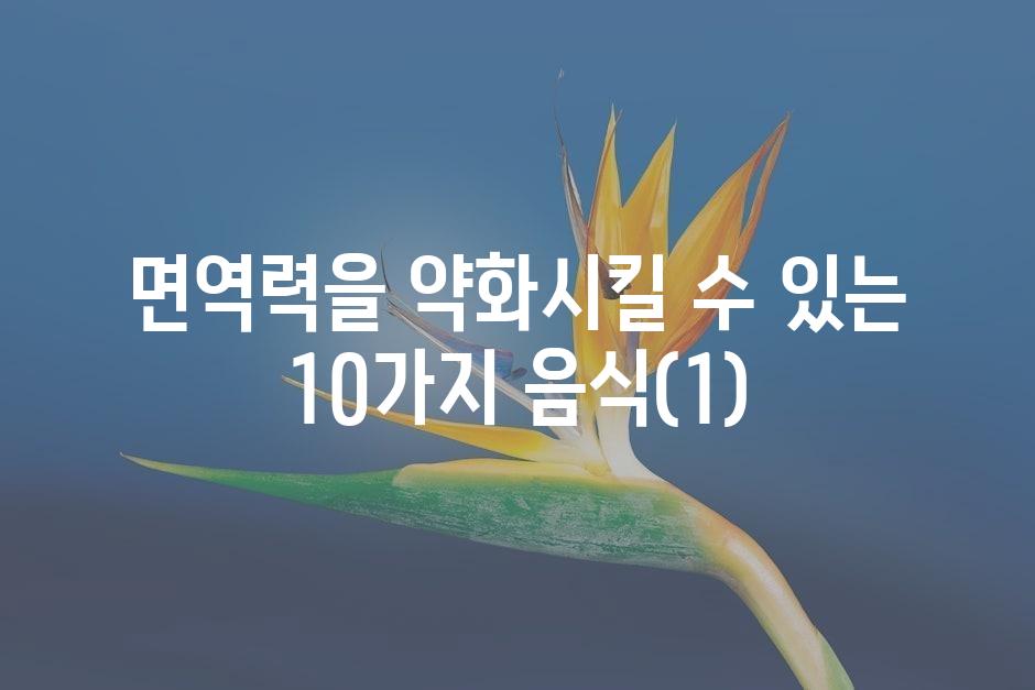 샘플 (45)