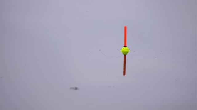 찌낚시대추천 및 구매가이드