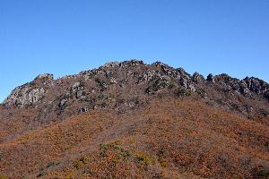 가야산단풍-2