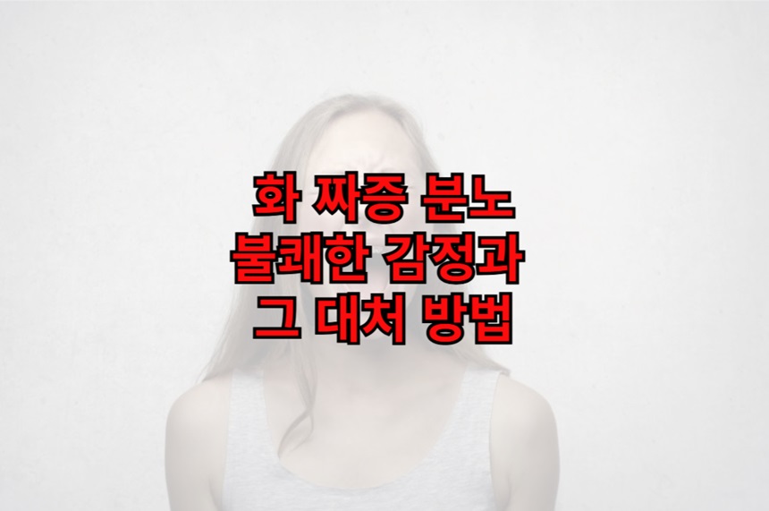 화, 분노, 짜증 우리가 겪는 불쾌한 감정과 그 대처 방법