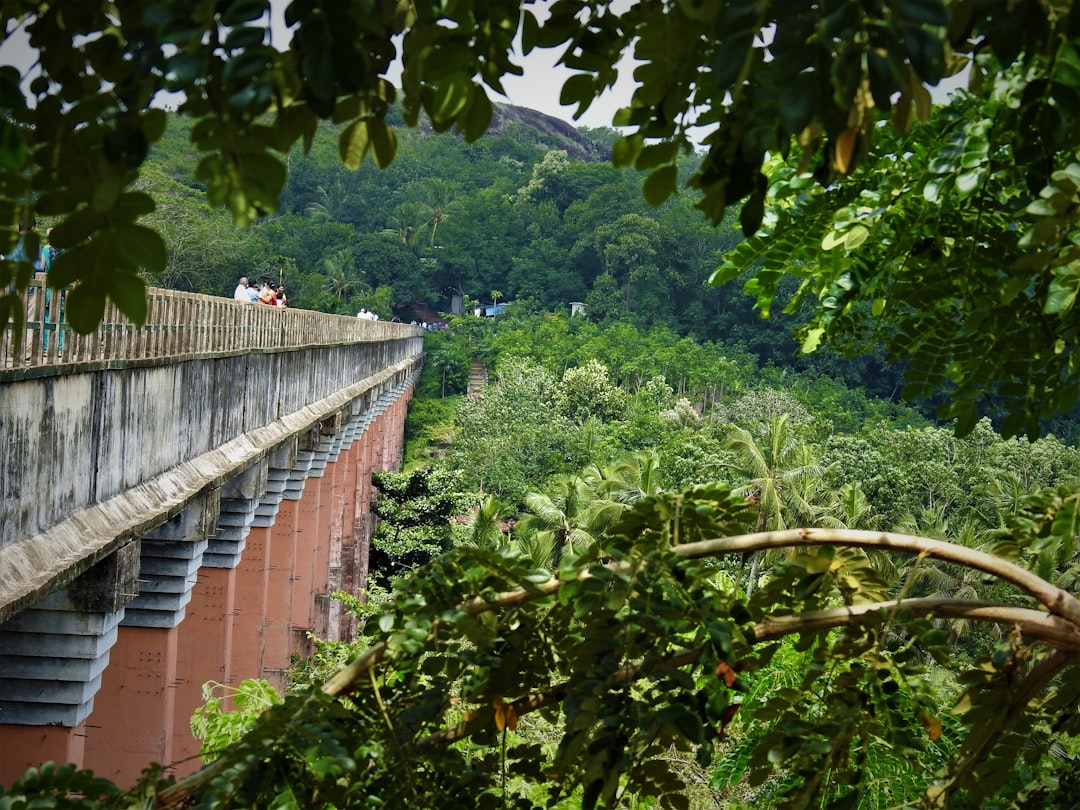 2025 화담숲 모노레일 현장: 7가지 꿀팁 관련 이미지 2