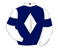 마사일호 경마 게이트별 기수 모자 색상과 마주 복색