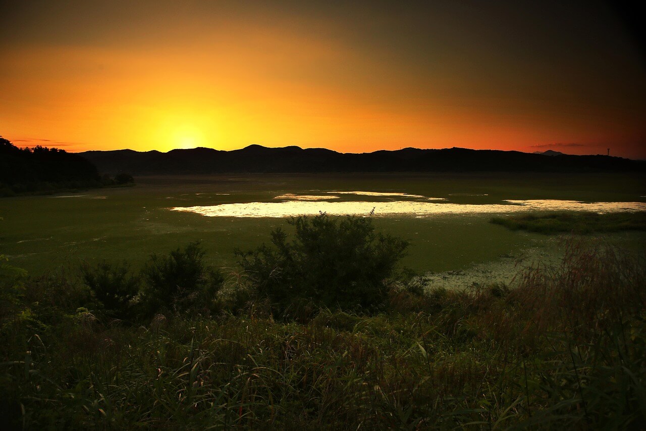 우포늪 일몰 사진