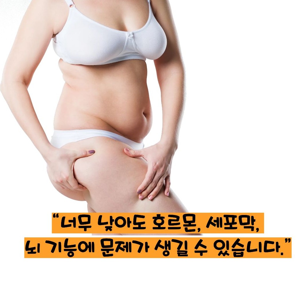 총 콜레스테롤 이란