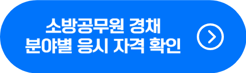 소방공무원 경채 분야별 응시자격 확인 버튼