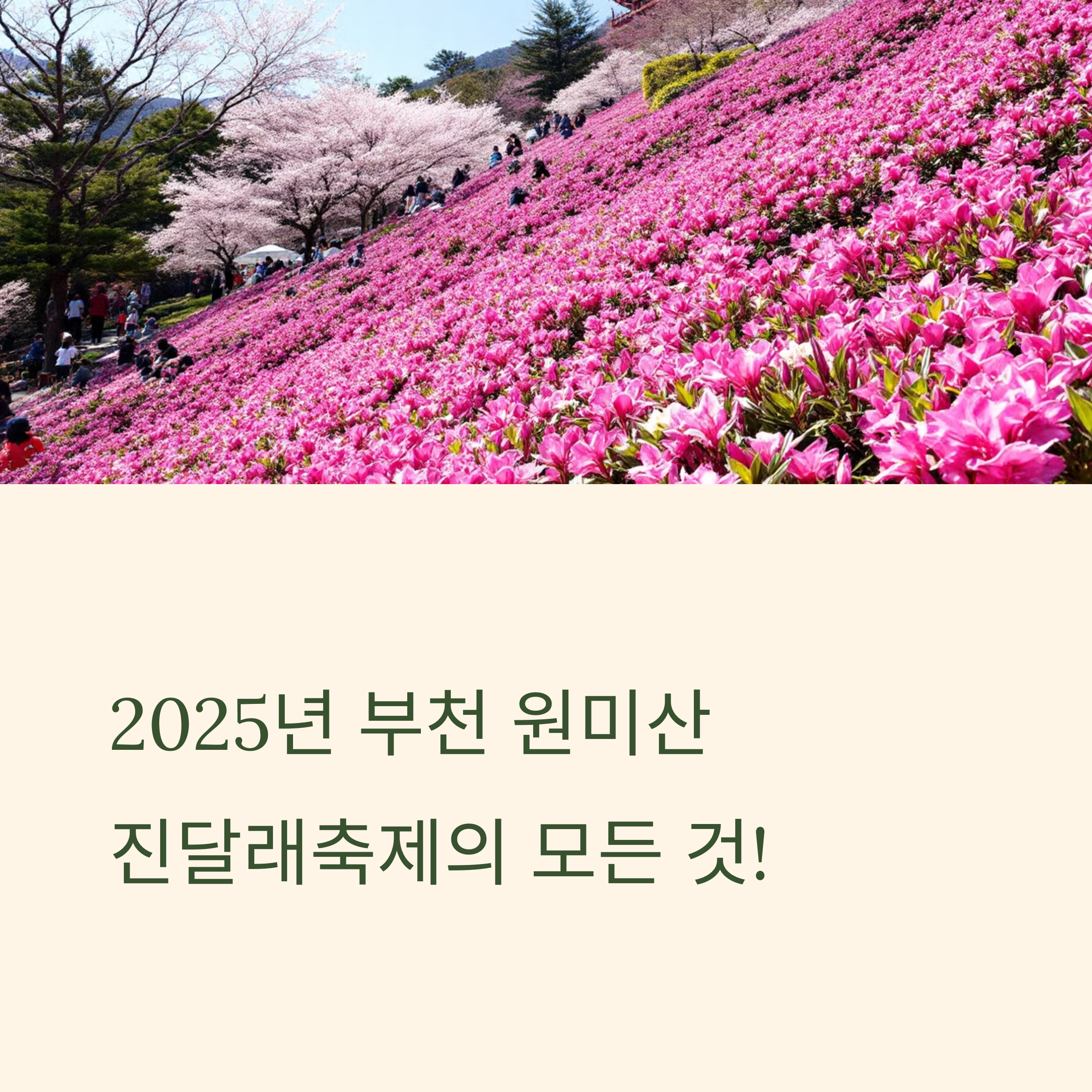 부천 원미산 진달래꽃 축제 주차정보 행사 일정
