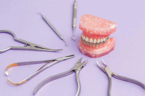 치과 교정비용 연말정산 13