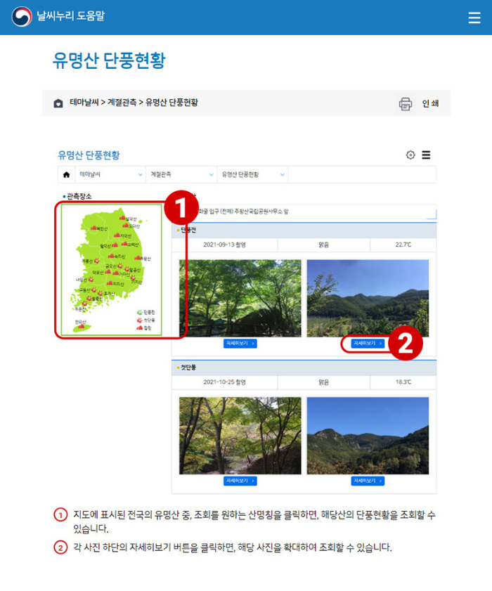 유명산 단풍현황