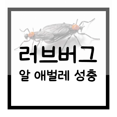 러브버그의-생애