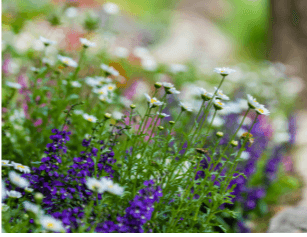 화담숲 예약 방법&amp;#44; 모노레일 시간