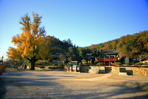 영천 가볼만한곳 베스트10