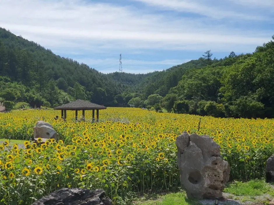 defc9c88-a69e-4fd5-8d79-e04c4bfdb9ab_3