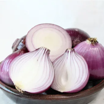 양파 보관법 양파 오래 보관법 3가지 방법_14