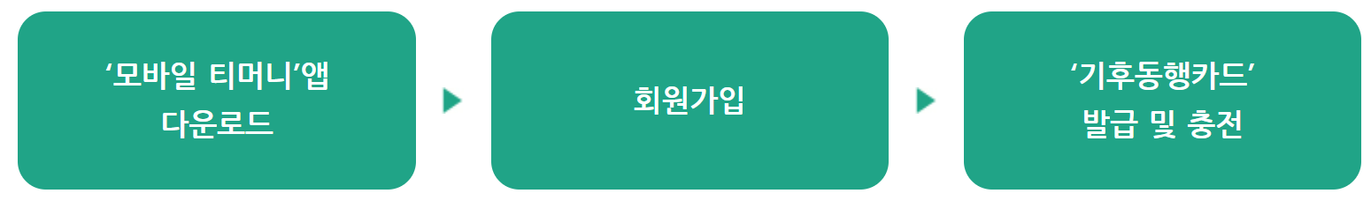 기후동행카드