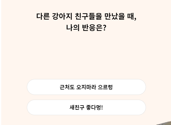 강아지MBTI
