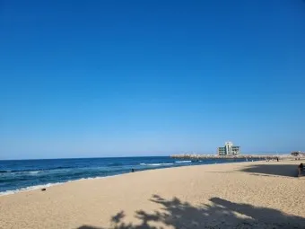 강릉 가볼만한곳 베스트10 맛집 놀거리_22