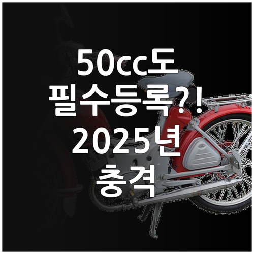 2025년 오토바이 등록 의무화 50..