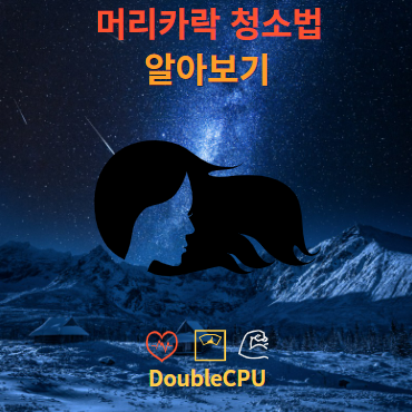 머리카락 청소법