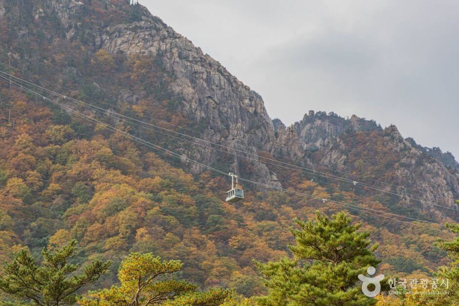 설악산 케이블카 운행시간, 예약, 요금 총정리