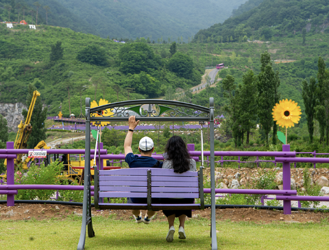2024 무릉별유천지 라벤더 축제 행사